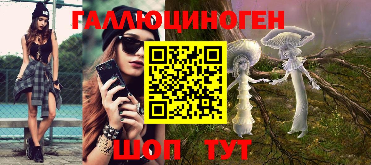 Галлюциногенные грибы Psilocybe Южно-Сахалинск